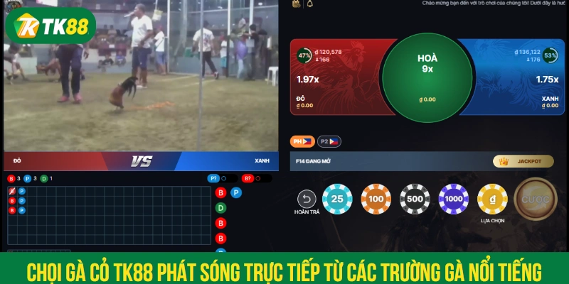 Chọi gà cỏ TK88 phát sóng trực tiếp từ các trường gà nổi tiếng